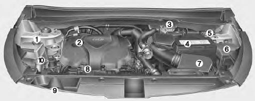 ❈ Le compartiment-moteur du véhicule réel peut différer de l'illustration.
