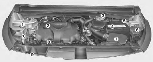 ❇ Le compartiment-moteur réel du véhicule peut différer de l'illustration.