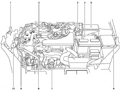 Points de vérification dans le compartiment moteur