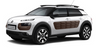 Citroën C4 Cactus: Version sans barres longitudinales - Barres de toit - Informations pratiques - Manuel du conducteur Citroën C4 Cactus