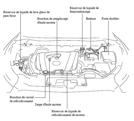 Vue générale du compartiment moteur 